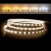 LED trak 12V 6W 800lm 4000K DL SNAKE TYPE 5m 60 LED/m IP20 