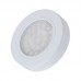 LED pohištvena svetilka OVAL nadgradna 12V DC 2W BELA 3000K + 2m kabla z mini konektorjem
