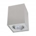 Svetilka stropna LED ready BRAGA KV GU10 ALU BRUŠEN