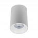 Svetilka stropna LED ready NEVILS OKR GU10 bela