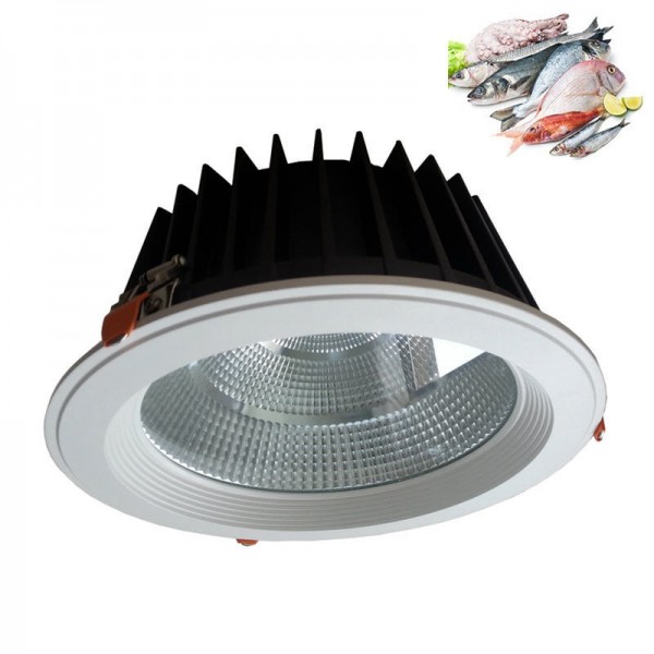 Svetilka vgradna LED MAGNA 4 G5 20W FISH 185x88/150mm Panasonic/Meanwell