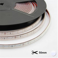 LED trak 24V 9,6W 800lm 6000K CNS PREMIUM 5m/R 120 LED/m 8mm 6d/5cm IP66