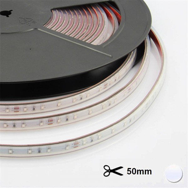 LED trak 24V 9,6W 800lm 6000K CNS PREMIUM 5m/R 120 LED/m 8mm 6d/5cm IP66