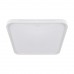 Svetilka stropna LED WENA D 24W 3000K/4200K/6500K bela
