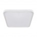 Svetilka stropna LED WENA D 48W 3000K/4200K/6500K bela