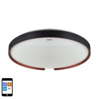 Svetilka stropna LED 48W 5280lm 3000-6400K CCT dim ESPERANTO C 490mm IP44 črna WiFi