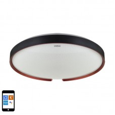 Svetilka stropna LED 48W 5280lm 3000-6400K CCT dim ESPERANTO C 490mm IP44 črna WiFi