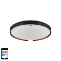 Svetilka stropna LED 24W 2810lm 3000-6400K CCT dim ESPERANTO C 395mm IP44 črna WiFi