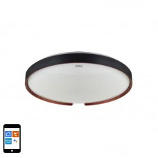 Svetilka stropna LED 24W 2810lm 3000-6400K CCT dim ESPERANTO C 395mm IP44 črna WiFi