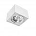 Svetilka stropna LED ready CHLOE AR111 GU10 IP20 kvadratna gibljiva bela