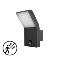Svetilka za fasadne s senzorjem LED CLARK 12W 550lm 4000K IP54 črna